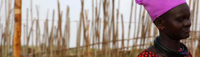 SUDAN: Der vergessene Konflikt am Nil – Vortrag von Dr. Hans Rauscher